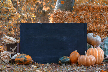 black board porch sign. autumn mood holiday halloween thanksgiving