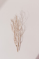 feminine desk workspace with notebook on dusty pink background.