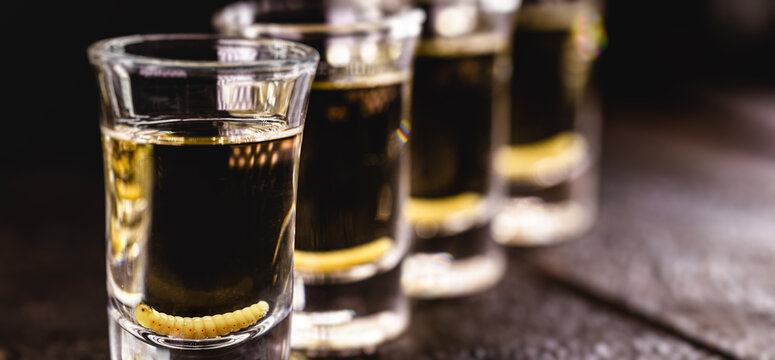 several glasses of Mezcal (or mescal) is an exotic alcoholic drink from Mexico, distilled, variation of tequila, consumed with orange, and with a larva inside