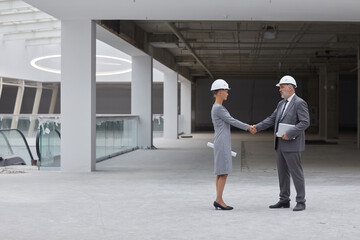 Full length side view portrait of smiling businesswoman shaking hands with partner after investment...