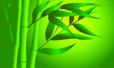 Fototapeta na wymiar the image of bamboo in green tones