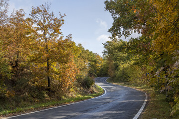 strada in autunno