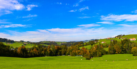Fototapeta premium Herbststimmung im Kanton Appenzell Ausserrhoden / Schweiz
