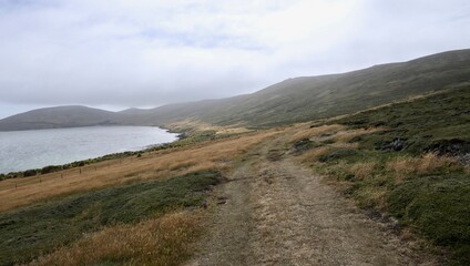 Fototapeta na wymiar path in rough and windy grass landscape on island, Falkland Islands