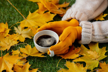 woman hands hold a cup of coffee next to yellow maple leaves on a green grass