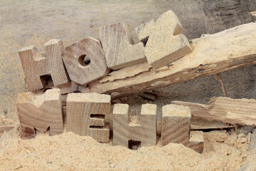 wood flour, insect pests (woodworm) were active