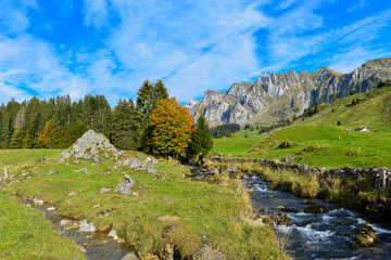 Fototapeta na wymiar Herbst im Wandergebiet Lutertannen im Kanton St. Gallen, Schweiz