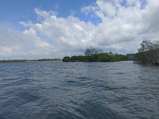 the river in the forest