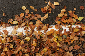 Fallen colorful leaves on the sidelines of the asphalt road. Natural autumn background
