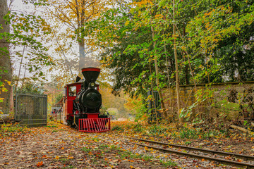 old steam locomotive in the woods