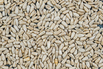 Sunflower seeds. Concept of eating seeds, cereals. Healthy eating, taking care of your health.