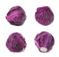 Set of ripe red cabbages isolated on white