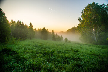 Obraz na płótnie Canvas morning mist. Sunlight penetrates through birches and coniferous trees