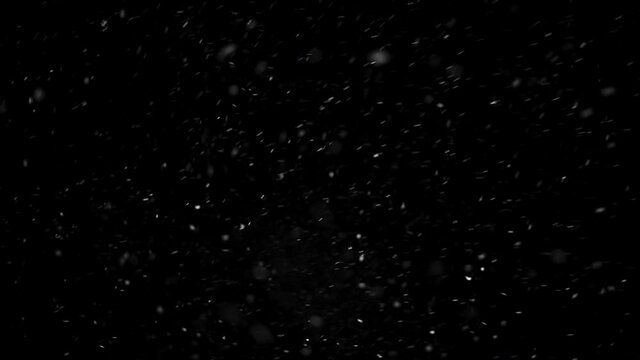 Real falling snow isolated on black background for composing, snowflakes bokeh falling during in snowstorm, snowing footage. Winter background. 4K video, winter, selective focus, blur