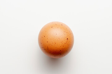eggs on a white background. comparison. round egg.