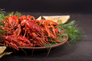 Crayfish boiled on a dish with dill spices and lemon.