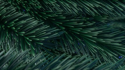 New year and Christmas 2021 background. Christmas tree branch rotating. Shallow depth of field. 3d rendering