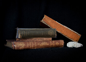 Four antique books on dark background with a piece of coral. 