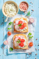 Crunchy Toast with cottage cheese, cherry tomato and radish