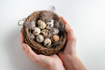 Happy easter. Young woman holds  nest with quail eggs in her hands. White background, space for text
