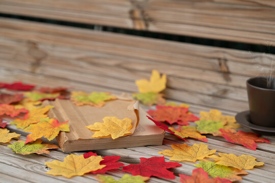 book on a wooden bench covered in tree leaves with a hot cup of coffee on a quiet fall day. Reading and relaxation concept