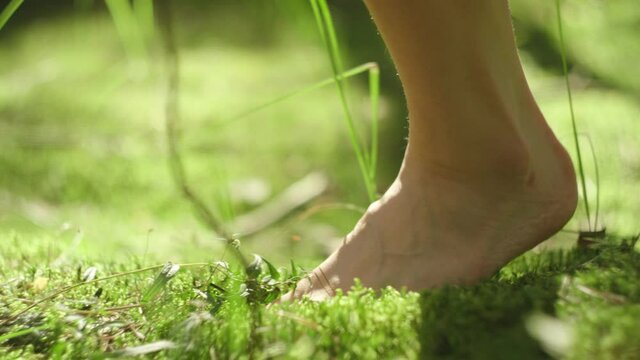 Walking barefoot on the moss