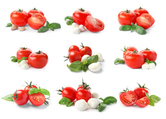 Set of ripe red tomatoes, mozzarella balls, garlic and green basil leaves on white background