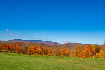 autumn landscape in the mountains