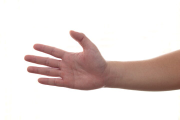Adult hands offering handshake isolated on white background