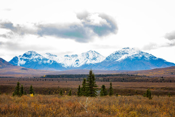 Denali National Park mountains view from Alpine trail at fall