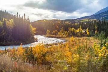 Papier Peint photo autocollant Denali Scenic view of Savage river in Denali national park at fall