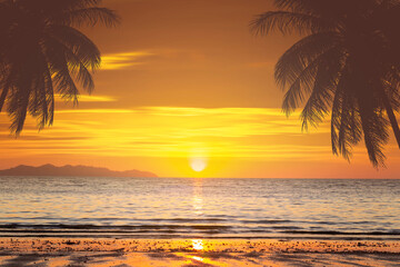 Obraz na płótnie Canvas palm tree and beach sunset
