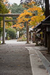 秋の天岩戸神社	