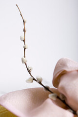 korean traditional wrapping cloth with bough