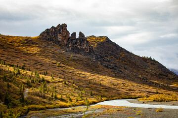 Denali national park view from Savage river Canyon trail