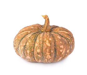 Clouseup of cucurbita isolated on white background