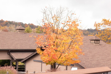 autumn house in autumn