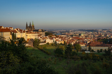 Fototapeta na wymiar St. Vitus Cathedral and Prague Castle and the nearby park with trees and grass in autumn at sunset in the center of Prague