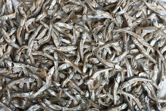 Close Up Of Dried Anchovies