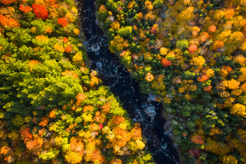 Aerial view of Winding River Through Autumn Trees with Fall Colors in New England