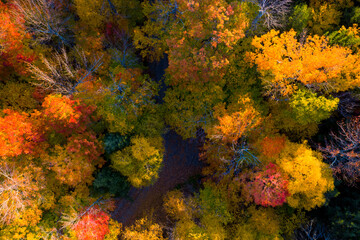 Fototapeta na wymiar Aerial view of Forest in Autumn with Fall Colors in New England