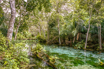 Nascente Azul no rio Sucuri em Bonito - MS