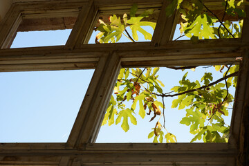 Broken windows, abandoned old building