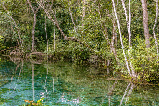 Nascente Azul no rio Sucuri em Bonito - MS