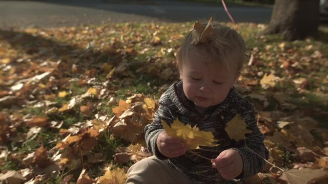 Young boy playing in autumn leaves and leaf pile in the yard while raking