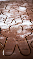 Gingerbread man unbaked - raw