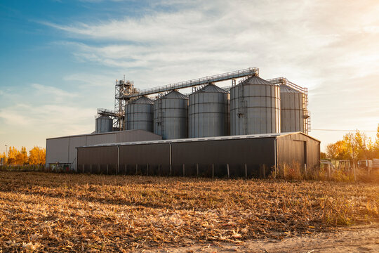 Agricultural silos next to harvested field in sunset 