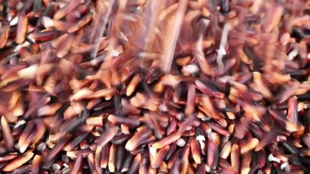 Close up Slow Motion, Pouring rice over pile of Riceberry Rice.