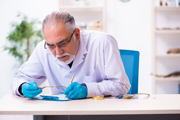 Old senior archaeologist working in the lab