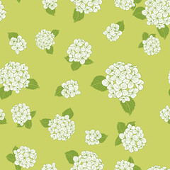 seamless pattern hand drawn white round bouquet hydrangea flowers with leaves on green background design